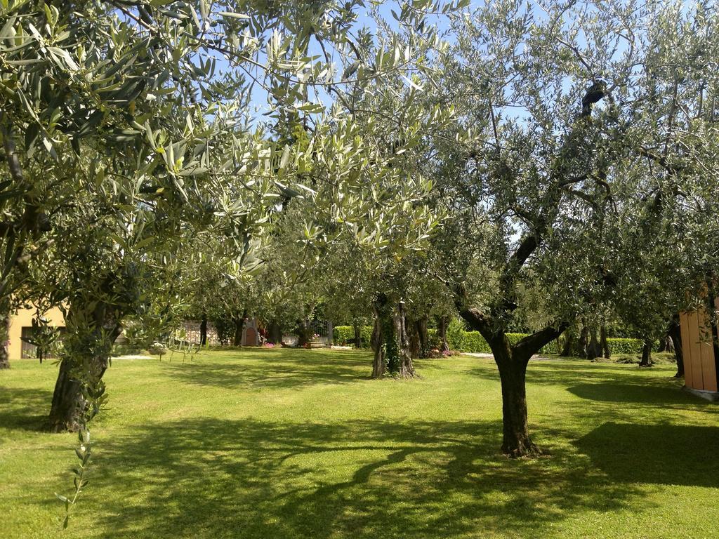 Villa Molino Moniga del Garda Екстер'єр фото